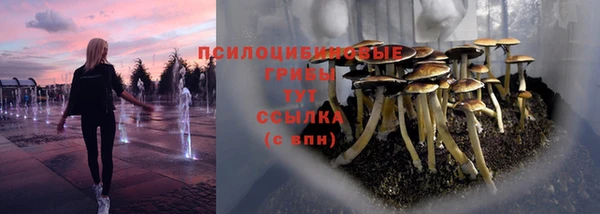 мдпв Володарск