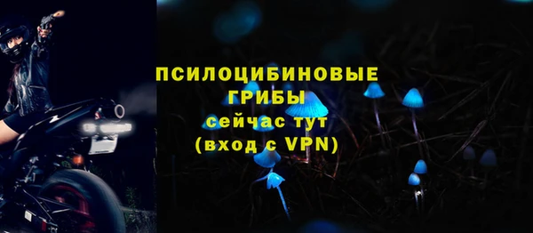 мдпв Володарск