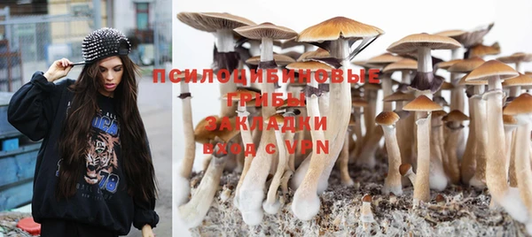 spice Волосово