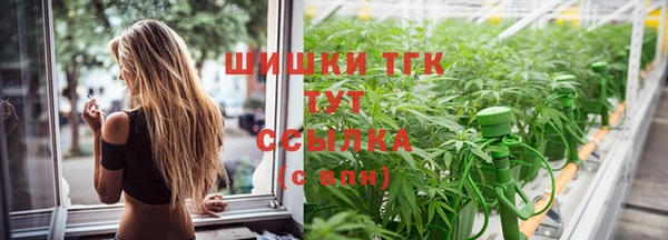 дурь Верхний Тагил