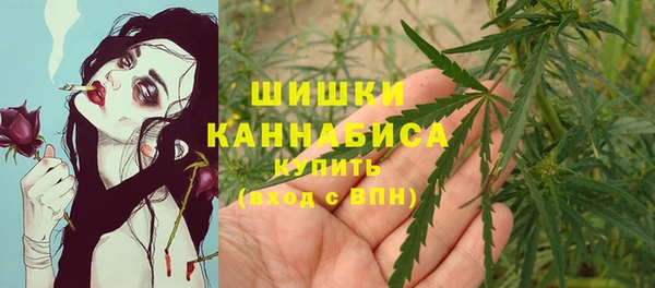 spice Волосово