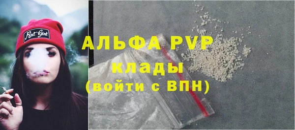 PSILOCYBIN Вяземский