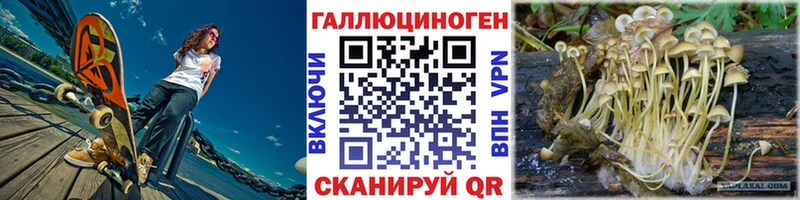 Псилоцибиновые грибы Psilocybe  KRAKEN ссылка  это какой сайт  купить наркотики цена  Верея 